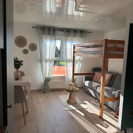 Le Cosy Du Futuroscope 公寓 若奈克兰